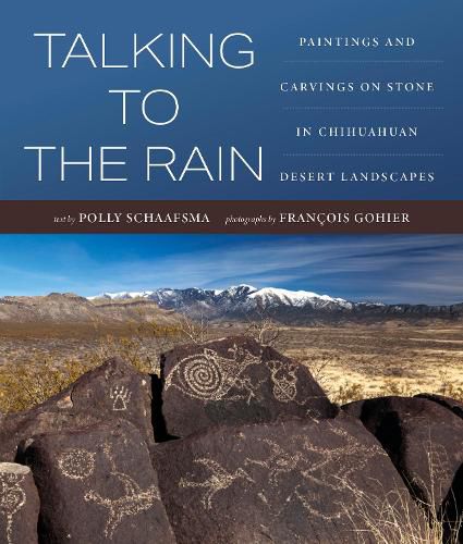 Cover image for Talking to the Rain