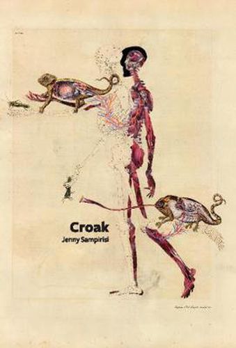 Cover image for Croak