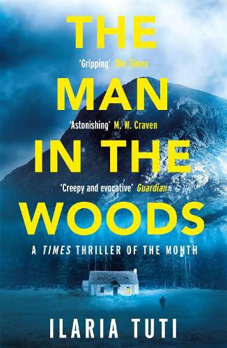 Cover image for The Man in the Woods: A secluded village in the Alps, a brutal killer, a dark secret hiding in the woods