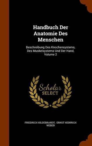 Cover image for Handbuch Der Anatomie Des Menschen: Beschreibung Des Knochensystems, Des Muskelsystems Und Der Hand, Volume 2