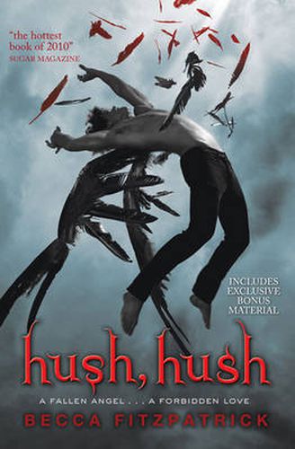 Cover image for Hush, Hush