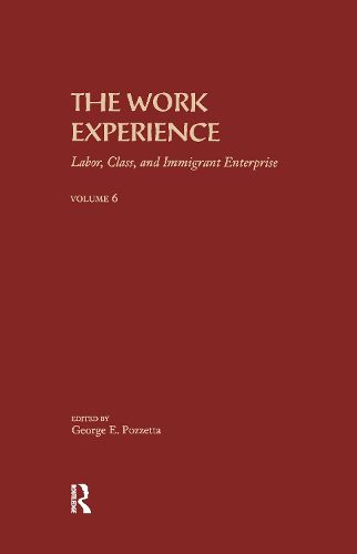 Cover image for The Work Experience: Labor, Class & Immigrant Enterprise