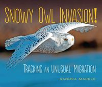 Cover image for Snowy Owl Invasion!: Tracking an Unusual Migration