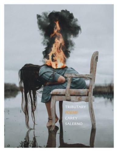 Cover image for Tributary: Poems