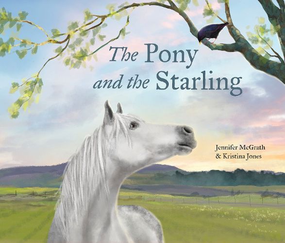 Cover image for The Pony and the Starling