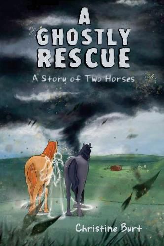 Cover image for A Ghostly Rescue: A Story of Two Horses