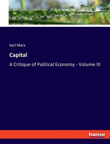 Cover image for Capital