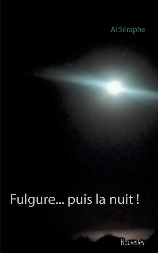 Cover image for Fulgure... puis la nuit !