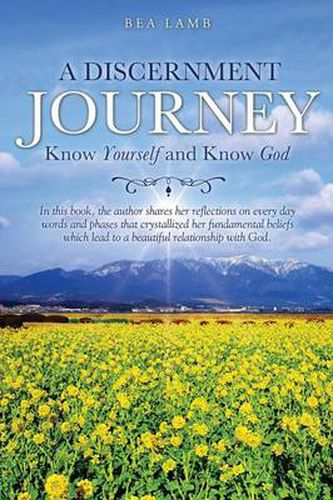 Cover image for A Discernment Journey
