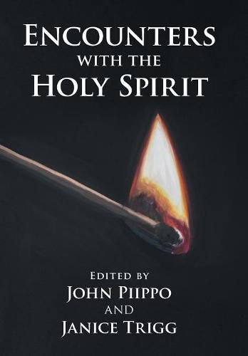 Cover image for Encounters with the Holy Spirit