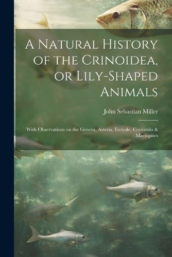 A Natural History of the Crinoidea, or Lily-shaped Animals