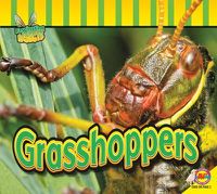 Cover image for Grasshoppers