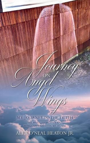 Cover image for Journey on Angel Wings