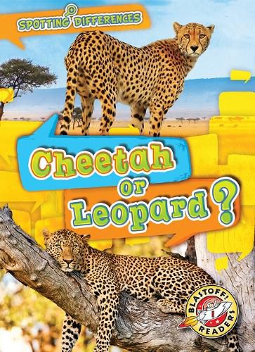 Cover image for Cheetah or Leopard?