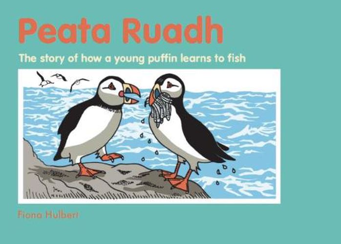 Cover image for Peata Ruadh: The story of how a young puffin learns to fish