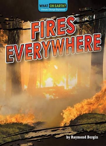 Cover image for Fires Everywhere