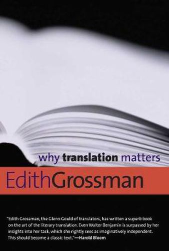 Cover image for Why Translation Matters