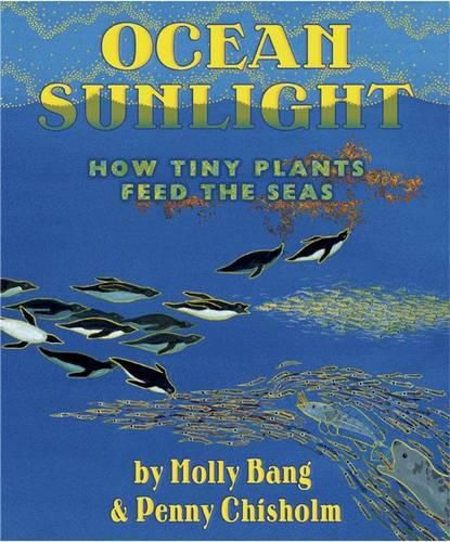 Cover image for Ocean Sunlight How Plants Feed the Sea