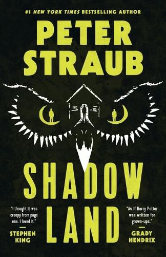 Cover image for Shadowland