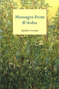Cover image for Messages from B'dobo