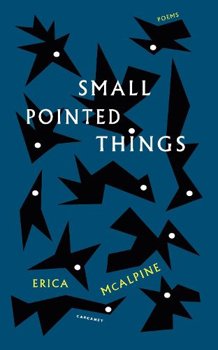 Cover image for Small Pointed Things