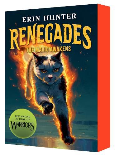 Cover image for The Magic Awakens (Renegades: Book One)