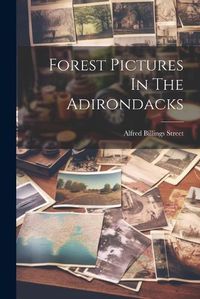 Cover image for Forest Pictures In The Adirondacks