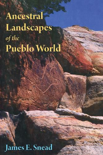 Cover image for Ancestral Landscapes of the Pueblo World