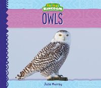 Cover image for Owls