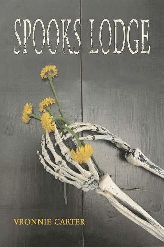 Cover image for Spooks Lodge