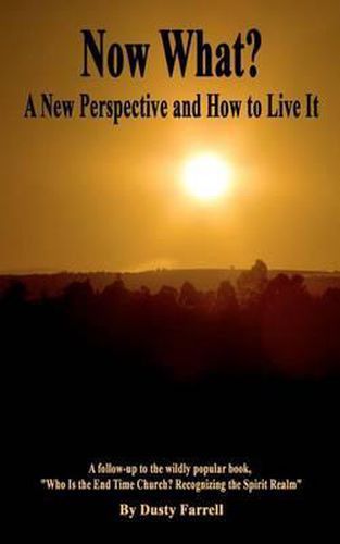 Cover image for Now What?: A New Perspective and How to Live It
