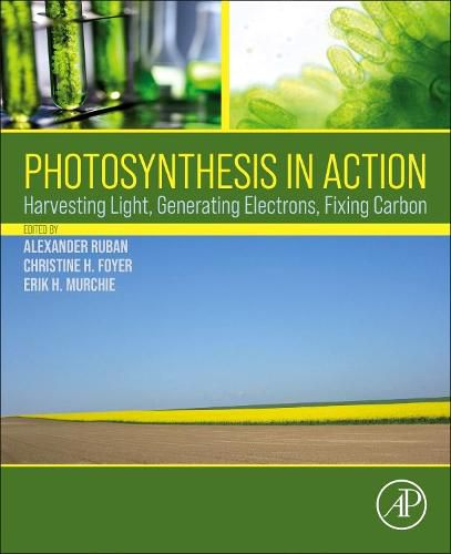 Cover image for Photosynthesis in Action: Harvesting Light, Generating Electrons, Fixing Carbon