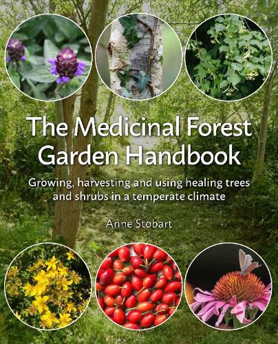 Cover image for The Medicinal Forest Garden Handbook: Growing, harvesting and using healing trees and shrubs in a temperate climate