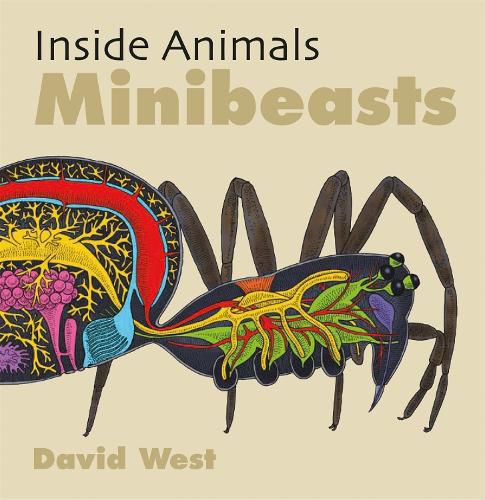 Cover image for Inside Animals: Minibeasts