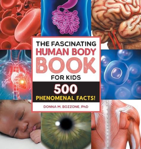 Cover image for The Fascinating Human Body Book for Kids: 500 Phenomenal Facts!