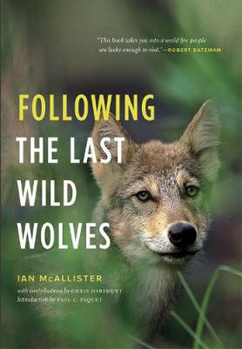 Cover image for Following the Last Wild Wolves