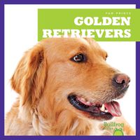 Cover image for Golden Retrievers