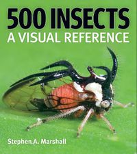 Cover image for 500 Insects: A Visual Reference