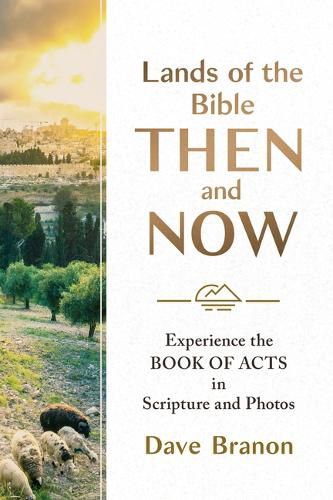Cover image for Lands of the Bible Then and Now