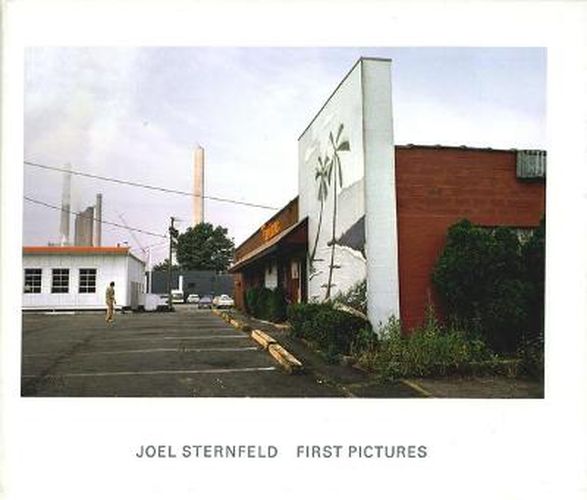 Joel Sternfeld: First Pictures