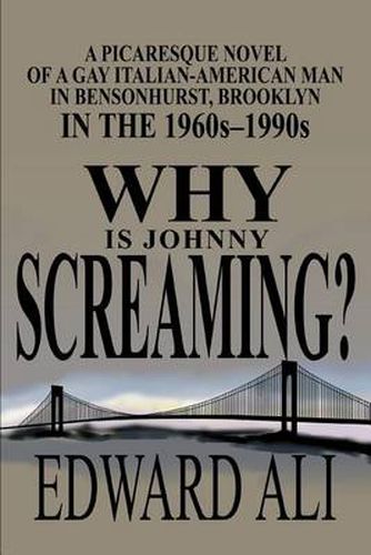 Cover image for Why is Johnny Screaming?:A Picaresque Novel of a Gay Italian-American Man in Bensonhurst, Brooklyn in the 1960s-1990s