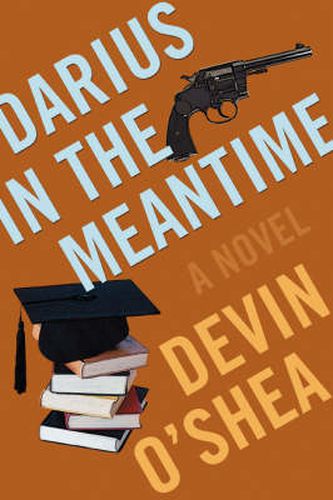 Cover image for Darius in the Meantime