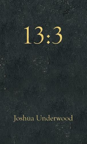Cover image for 13: 3