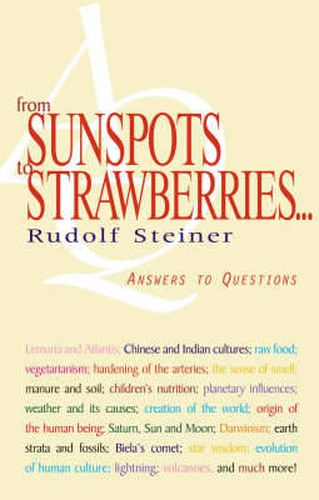 Cover image for From Sunspots to Strawberries: Answers to Questions