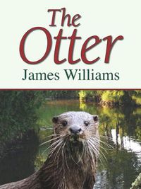 Cover image for The Otter