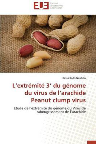 Cover image for L Extr mit 3 Du G nome Du Virus de L Arachide Peanut Clump Virus