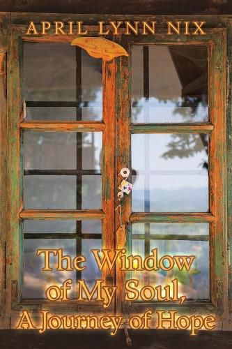 Cover image for The Window of My Soul, a Journey of Hope