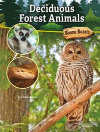 Cover image for Deciduous Forest Animals