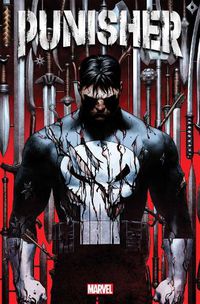 Cover image for Punisher Vol. 1