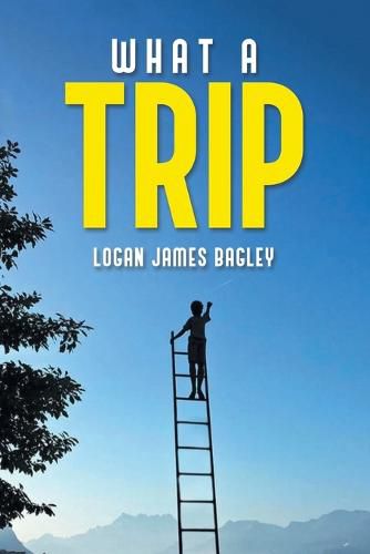 Cover image for What a Trip